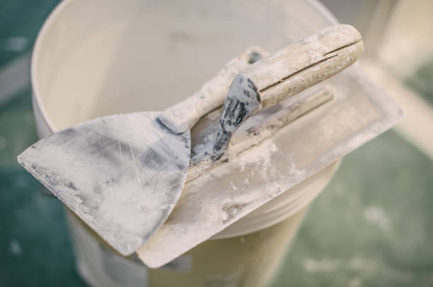 Best Commercial Mold Inspection  in Juno Ridge, FL